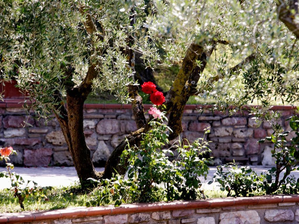 Hotel La Terrazza RESTAURANT&SPA Assisi Camera foto